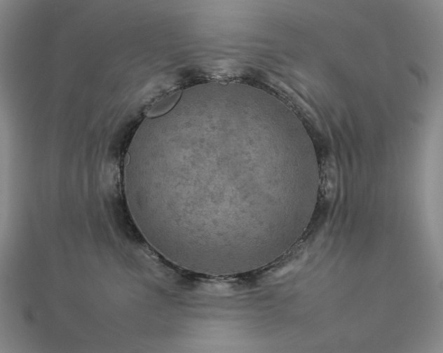 X0000112770523200908201510