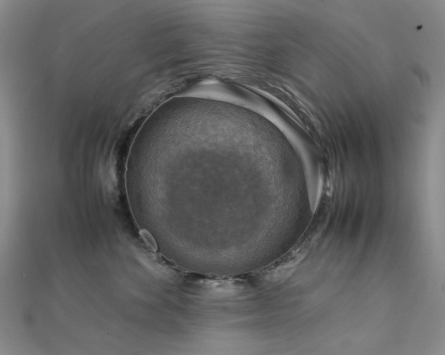 X0000112770524200908201510
