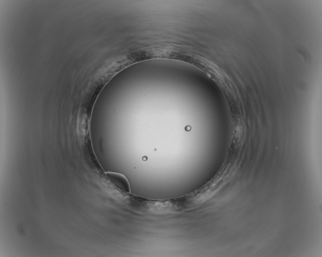 X0000112770525200908201510