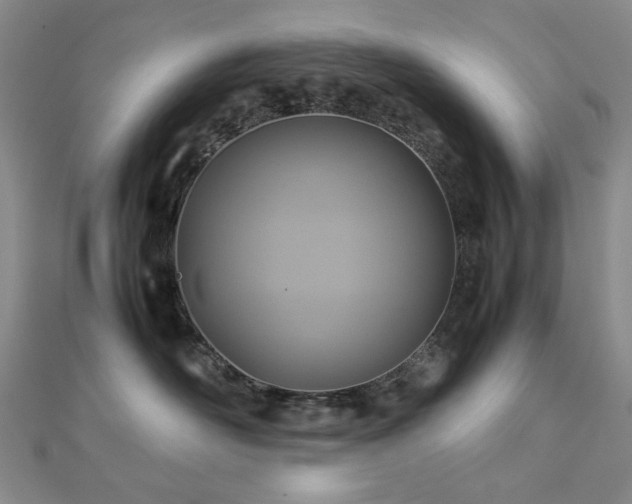 X0000112770526200908201510