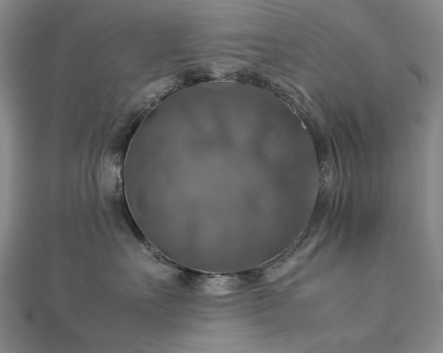 X0000112770527200908201510