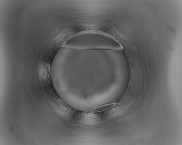 X0000112770528200908201510