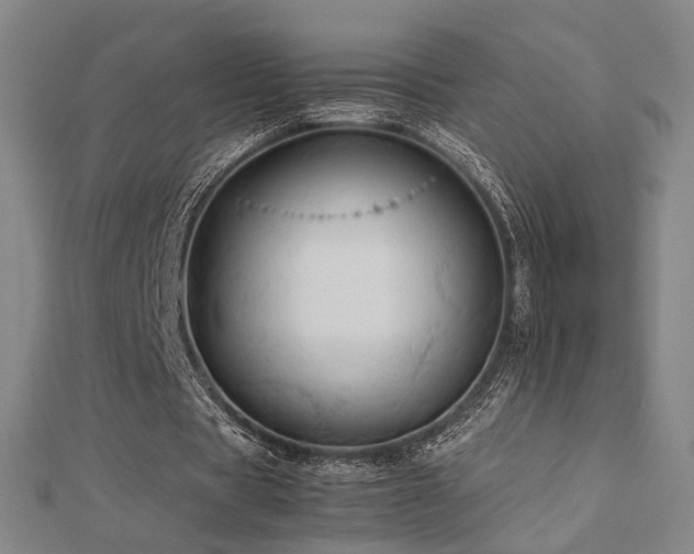 X0000112770529200908201509