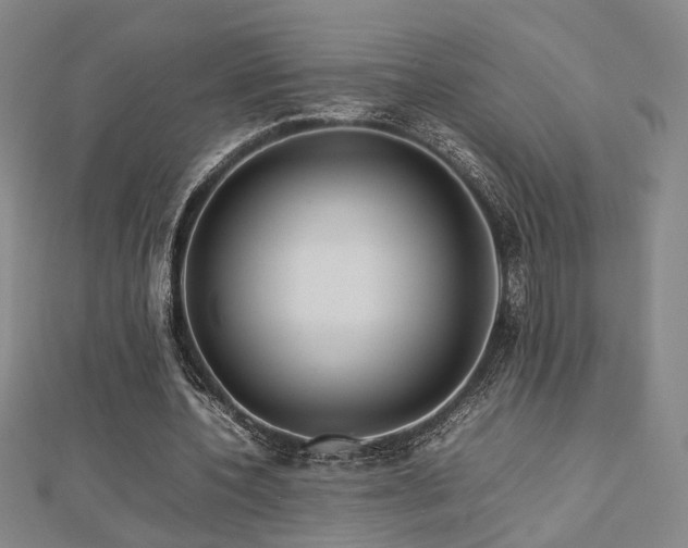 X0000112770532200908201509