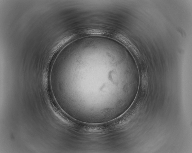 X0000112770533200908201509