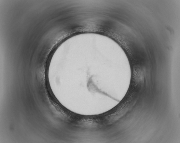 X0000112770534200908201510