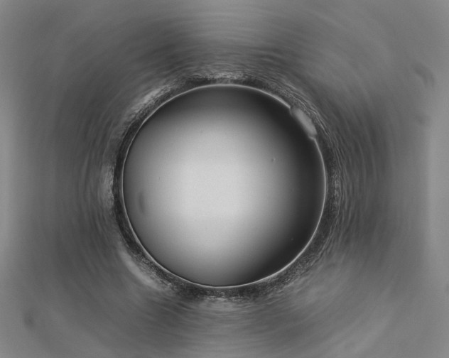 X0000112770538200908201510