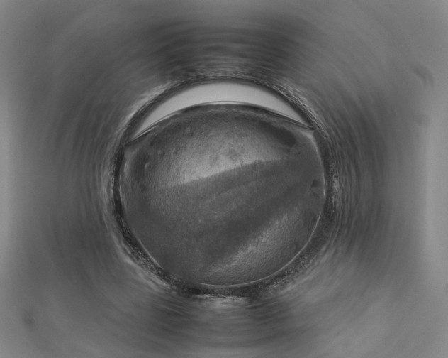 X0000112770539200908201510