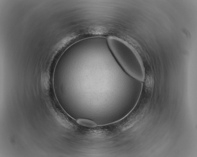X0000112770540200908201510