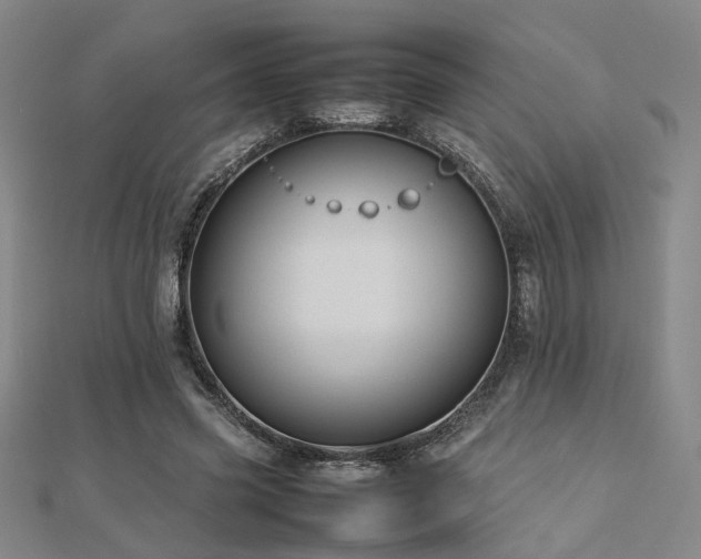 X0000112770541200908201510
