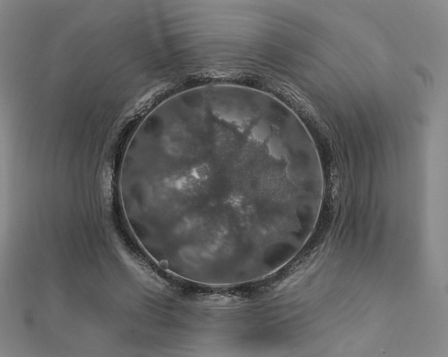 X0000112770542200908201510