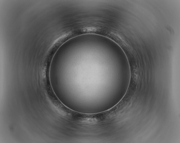 X0000112770543200908201510
