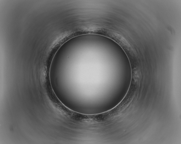 X0000112770544200908201510