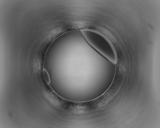 X0000112770546200908201510
