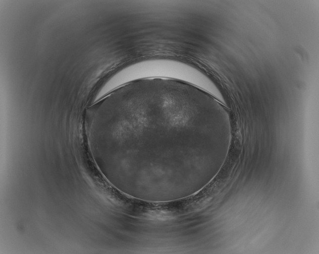 X0000112770547200908201510