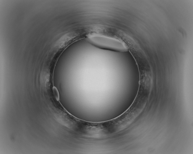 X0000112770548200908201510