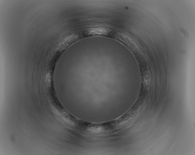 X0000112770551200908201510