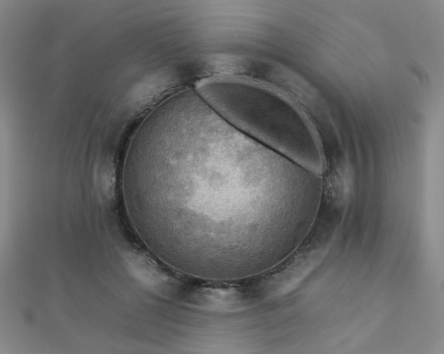X0000112770552200908201510