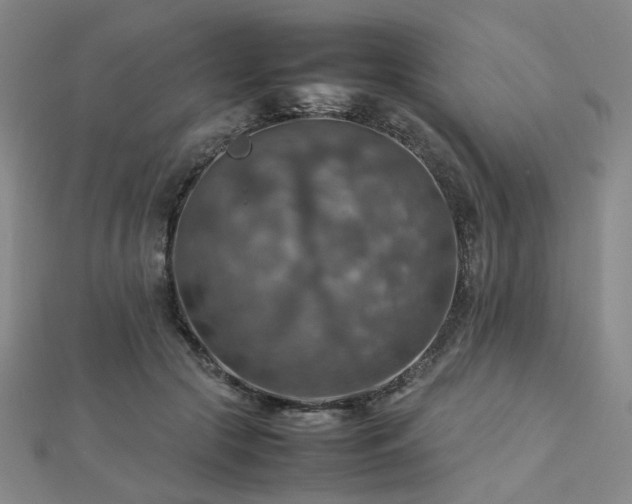 X0000112770553200908201510