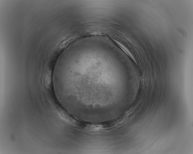 X0000112770554200908201510