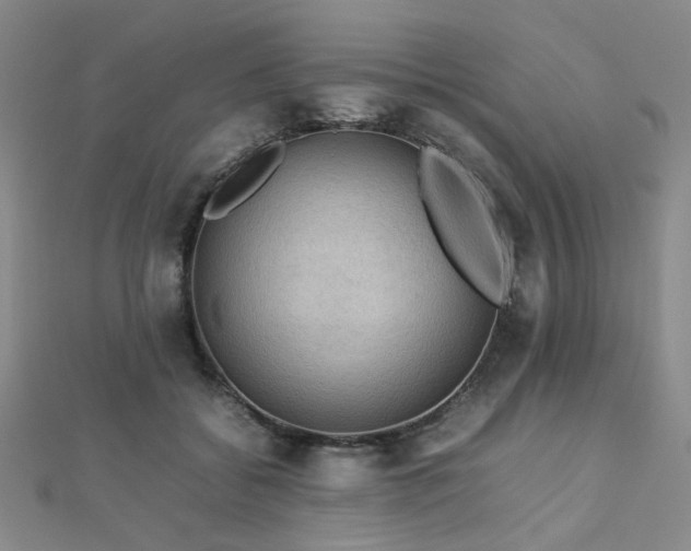 X0000112770556200908201510