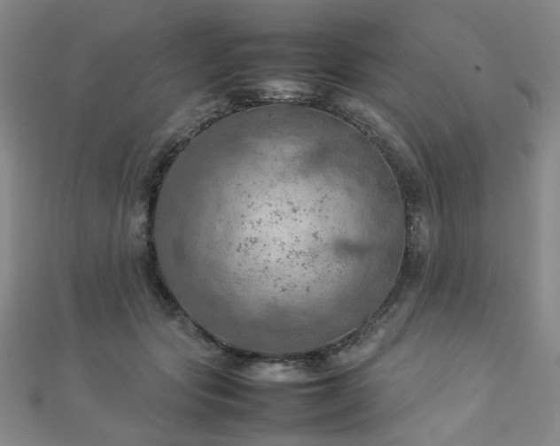 X0000112770557200908201510
