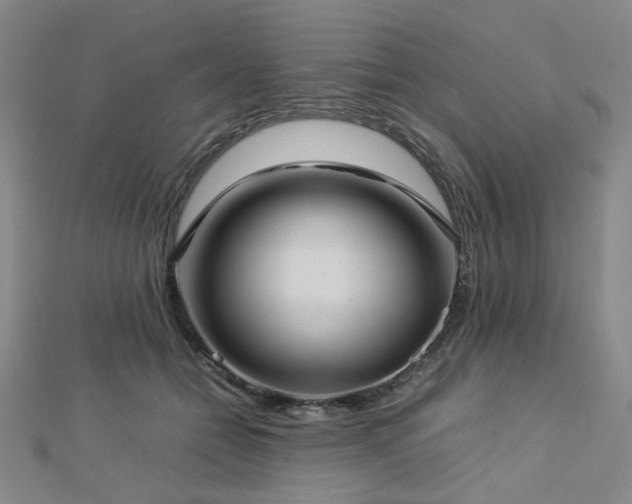 X0000112770558200908201510