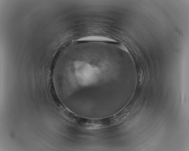 X0000112770559200908201510
