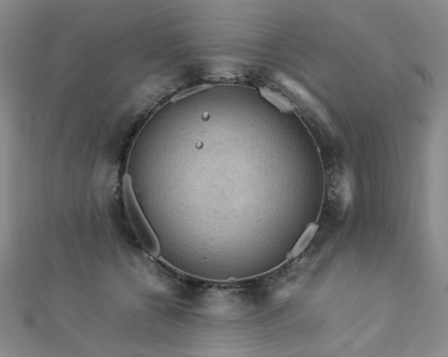 X0000112770560200908201510