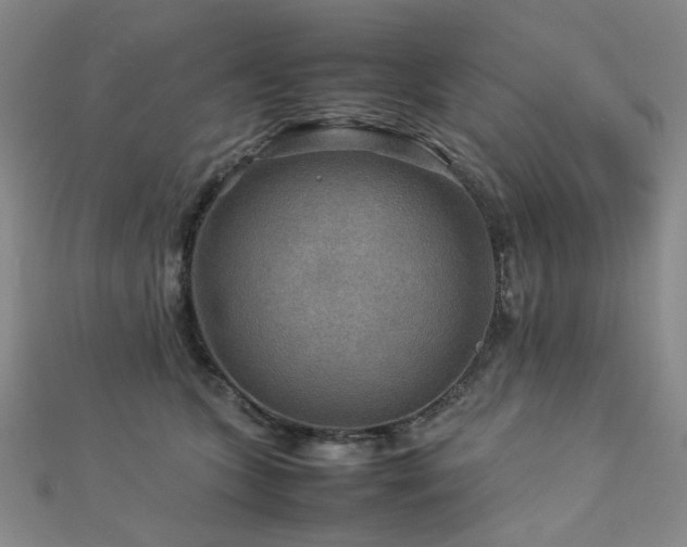 X0000112770563200908201510