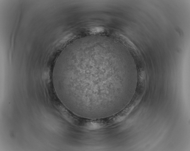 X0000112770565200908201510