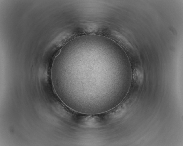 X0000112770566200908201510