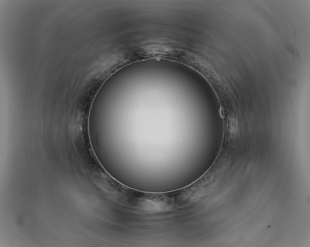 X0000112770567200908201510