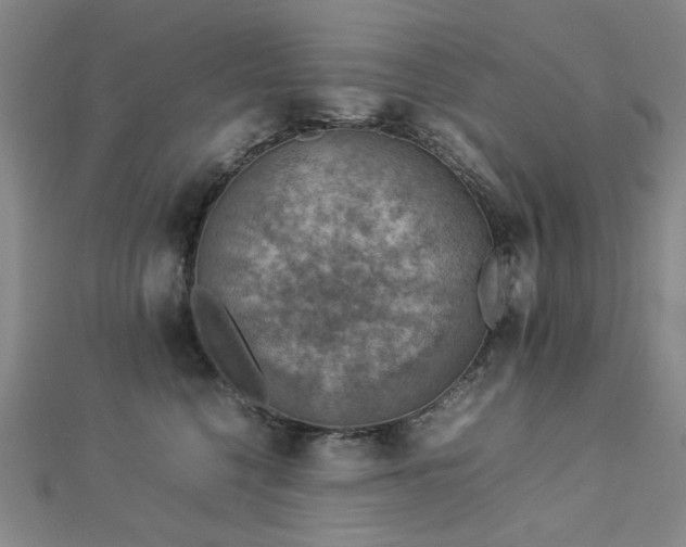 X0000112770568200908201510
