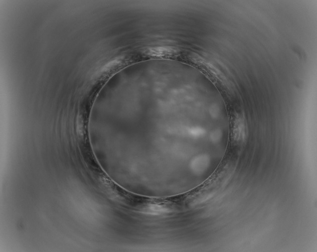 X0000112770569200908201510