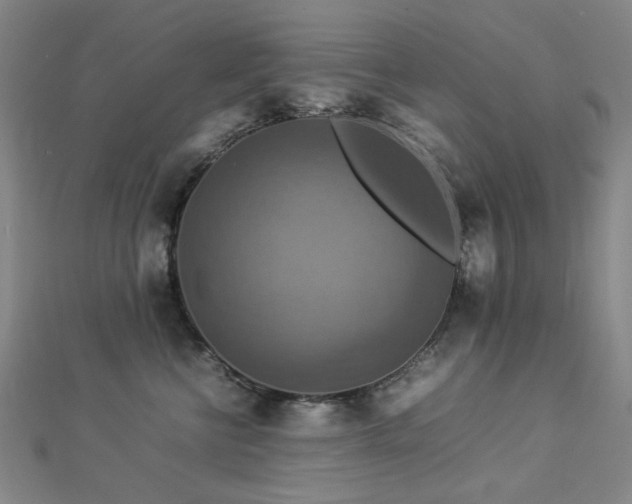 X0000112770570200908201510