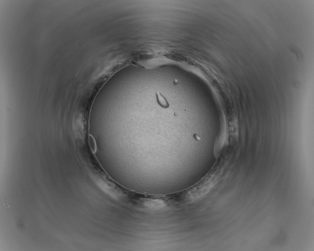 X0000112770572200908201510