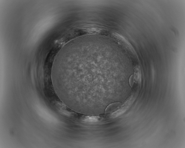 X0000112770573200908201510
