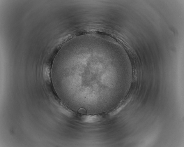 X0000112770575200908201510