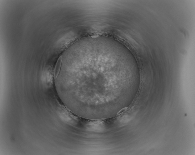 X0000112770576200908201510