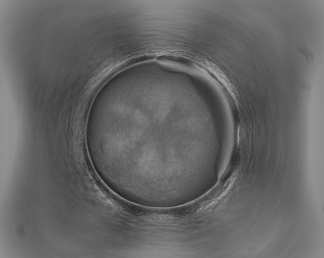 X0000112770577200908201509