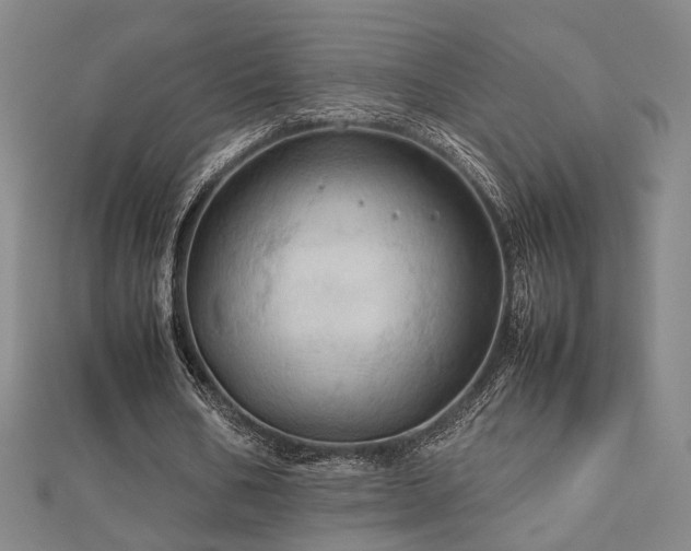 X0000112770578200908201509