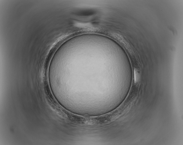 X0000112770579200908201509