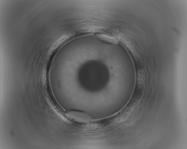 X0000112770581200908201509