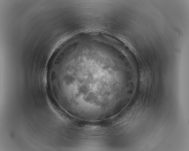 X0000112770582200908201509