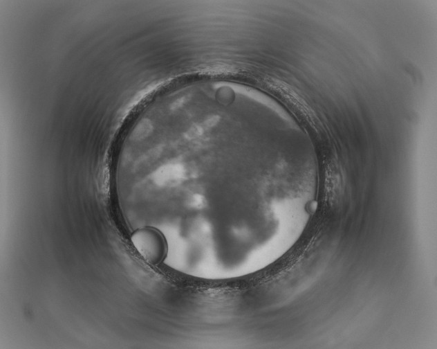 X0000112770584200908201509