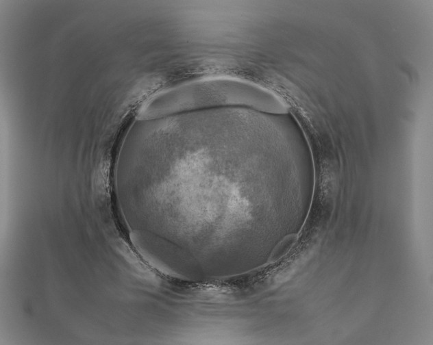X0000112770585200908201509
