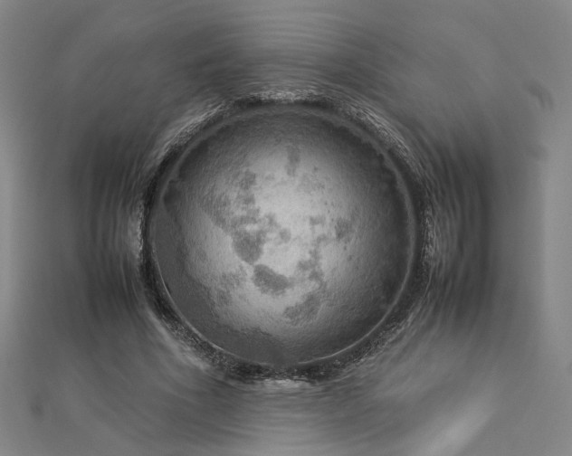 X0000112770586200908201509