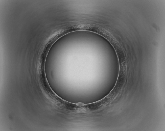 X0000112770587200908201509