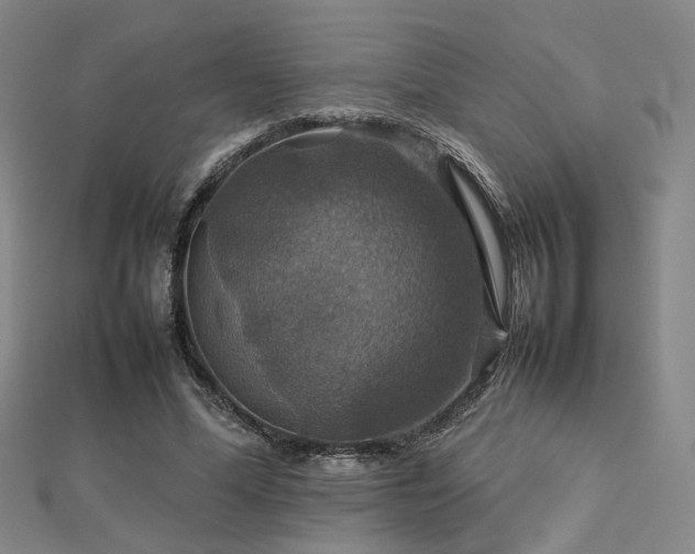 X0000112770588200908201509